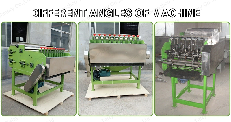 Industrial Cashew Processing Shelling Peeler Machine Manual Cashew Nut Sheller Peeling Machine From Amy