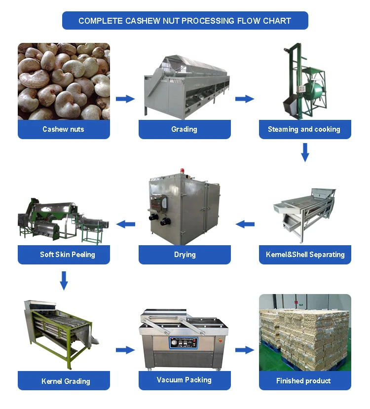 Cashew Nut Cutting Machine Cost for Cashew Nut Production Line