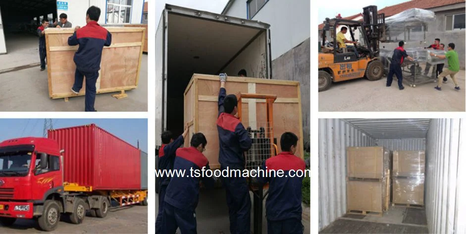 Cashew Nut Processing Drying Machine Cashew Nut Dryer Machine Price