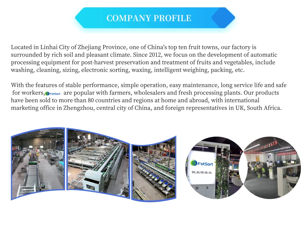 Industrial Large-Scale Fruit and Vegetable Mandarin Orange Tangerine Tomato Citrus Cleaning and Air-Drying Sorting Grading Machine Production Line