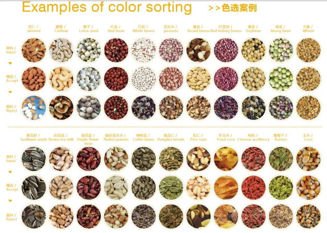 Cashew Nut Peanut Walnut Coconut Almond Apricot Nut Color Sorter Machine Processing Sorting Machine