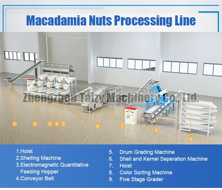 Walnut Crushing Machine Almonds Shelling Machine Cashew Macadamia Nut Processing Machine