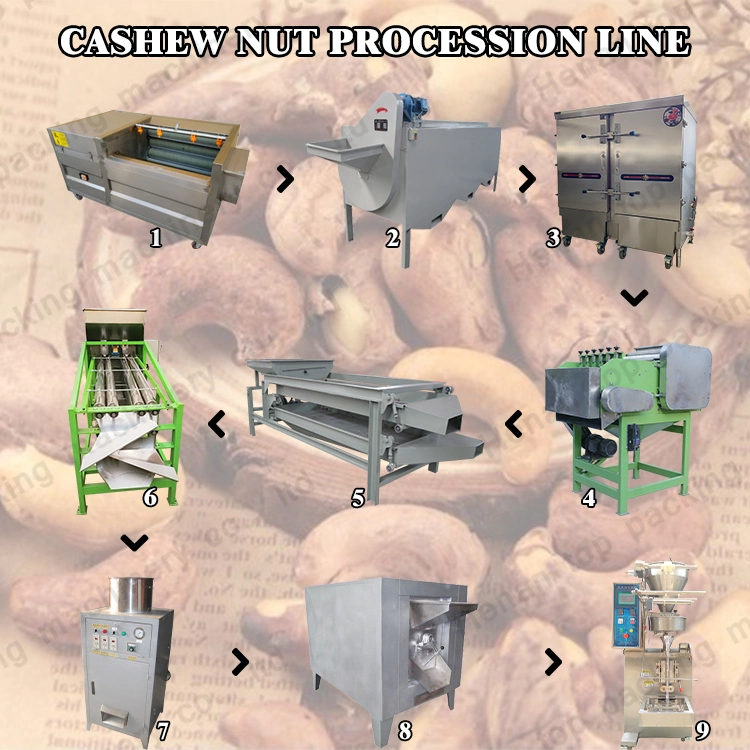 Cashew Nut Production Line Cashew Nut Making Machine Cashew Nut Processing Line From Amy