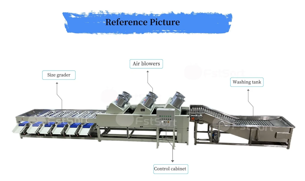 Industrial Large-Scale Fruit and Vegetable Mandarin Orange Tangerine Tomato Citrus Cleaning and Air-Drying Sorting Grading Machine Production Line