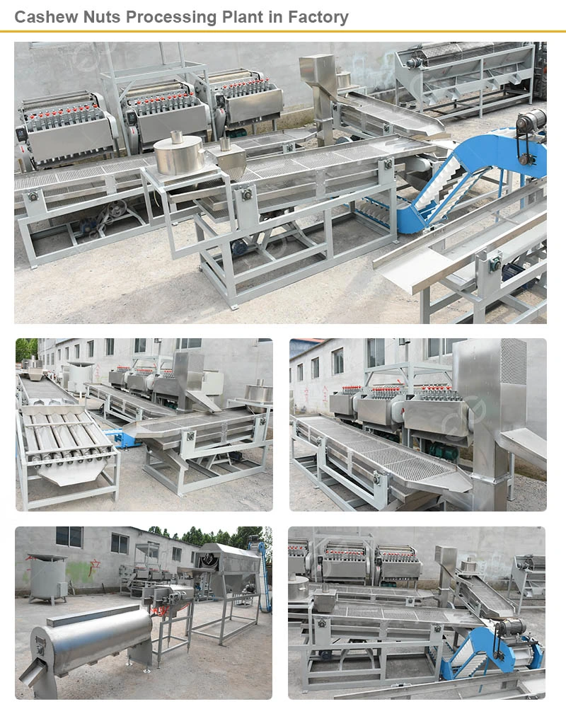 Automatic Kaju Processing Machine Cashew Nut Processing Plant Line