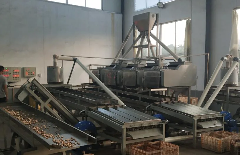 China Manufacturer Full Automatic Raw Cashew Nut Cashew Processing Machine