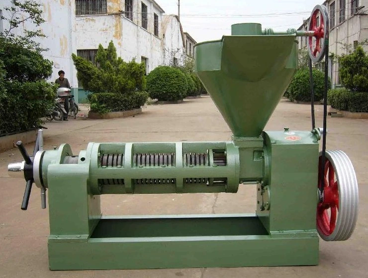 Stainless Steel Nut Oil Extractor Machine Cold Press Peanut Oil Extraction Machine Price Oil Processing Machine