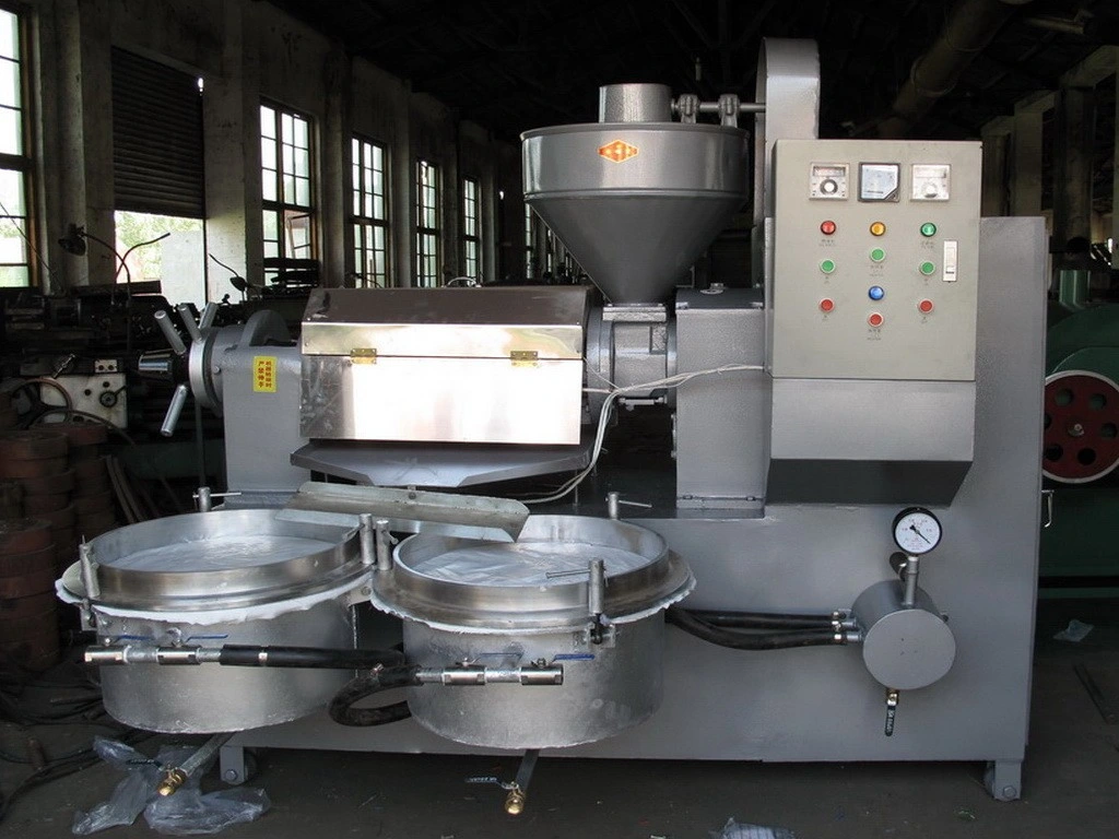 Stainless Steel Nut Oil Extractor Machine Cold Press Peanut Oil Extraction Machine Price Oil Processing Machine